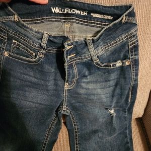 New Wallflower Bootcut Jeans